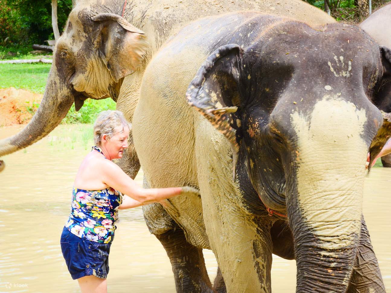 Aonang Elephant Sanctuary Erlebnis