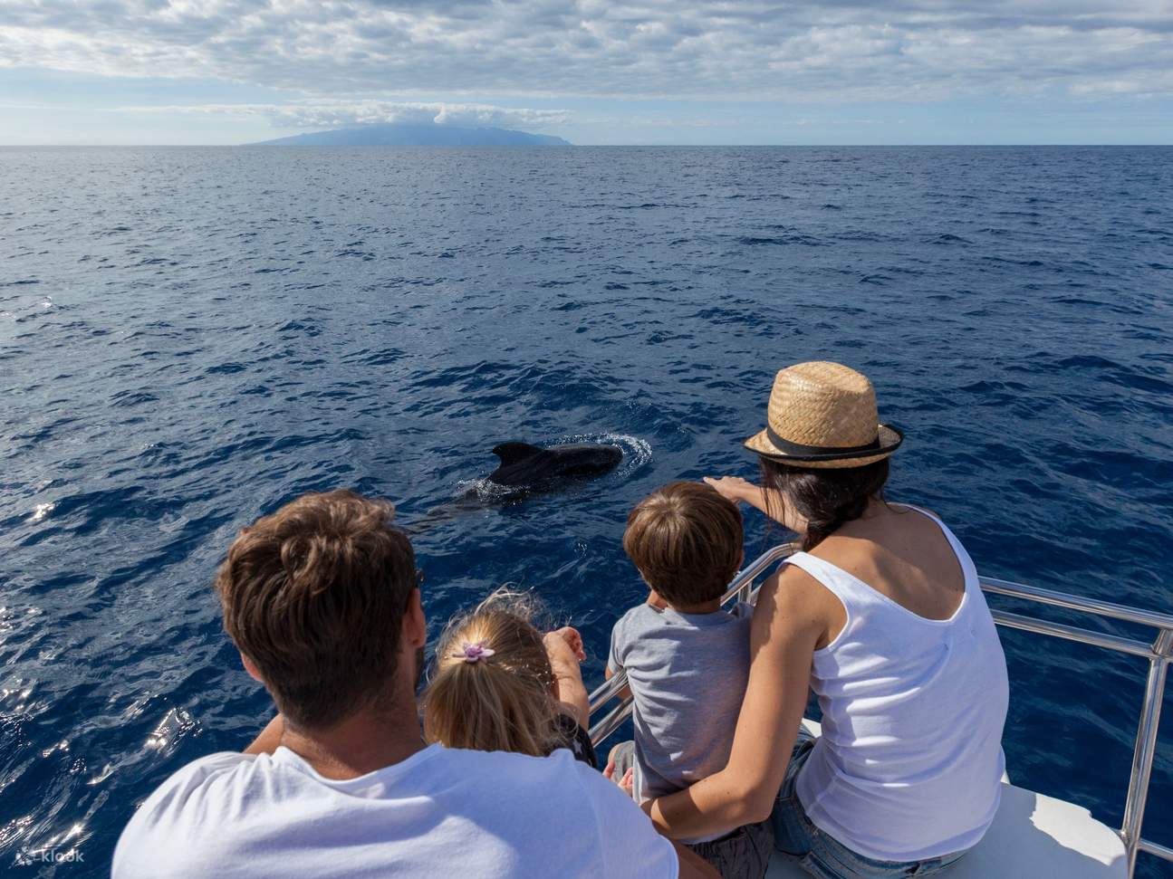 Créez des souvenirs inoubliables en famille en observant de près de magnifiques globicéphales résidents.