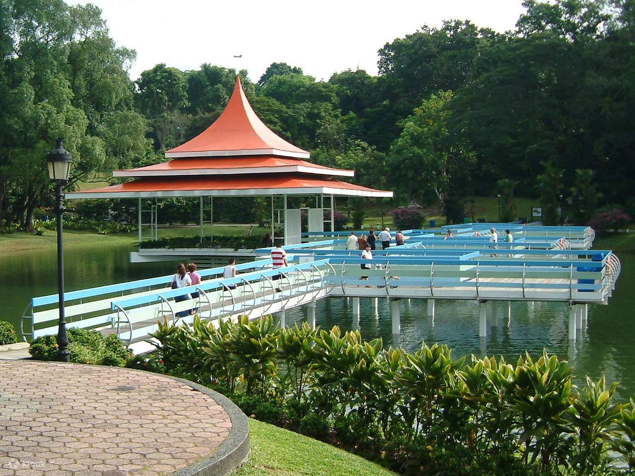 MacRitchie Reservoir Park Tour and Trekking Klook