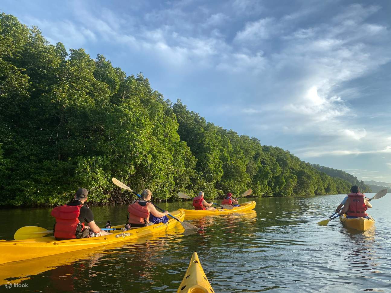 Visite guidée en kayak à travers la mangrove de Bornéo