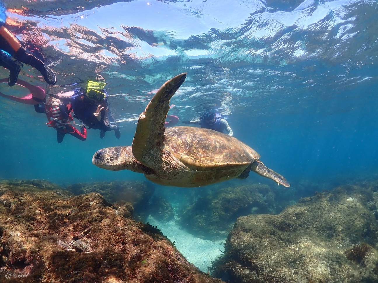 Xiaoliuqiu Yang Guang Canoe - Canoe · Transparent Canoe · Snorkeling Experience