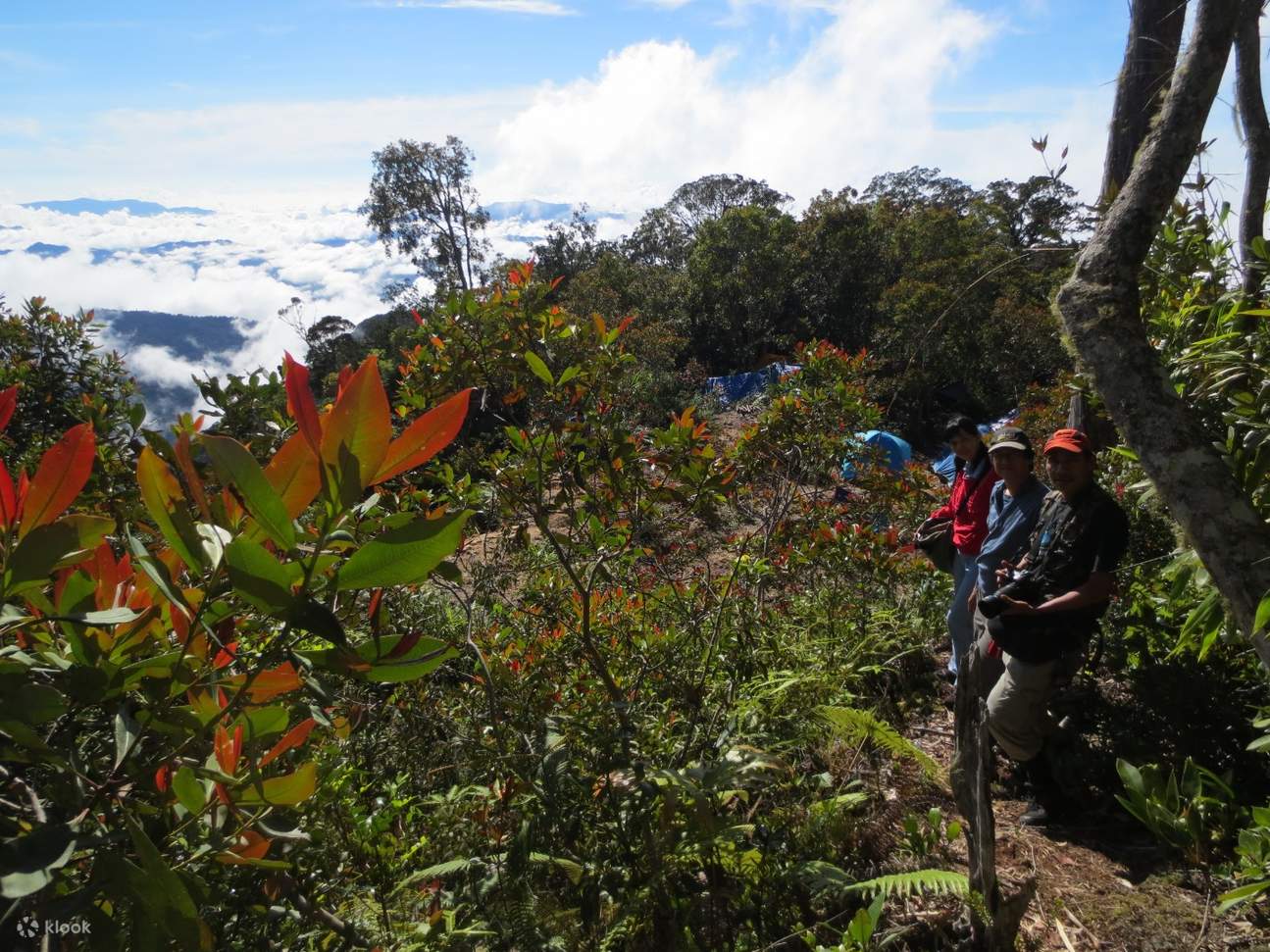 3D2N Mount Kinabalu Camping Under The Stars Experience from Sabah