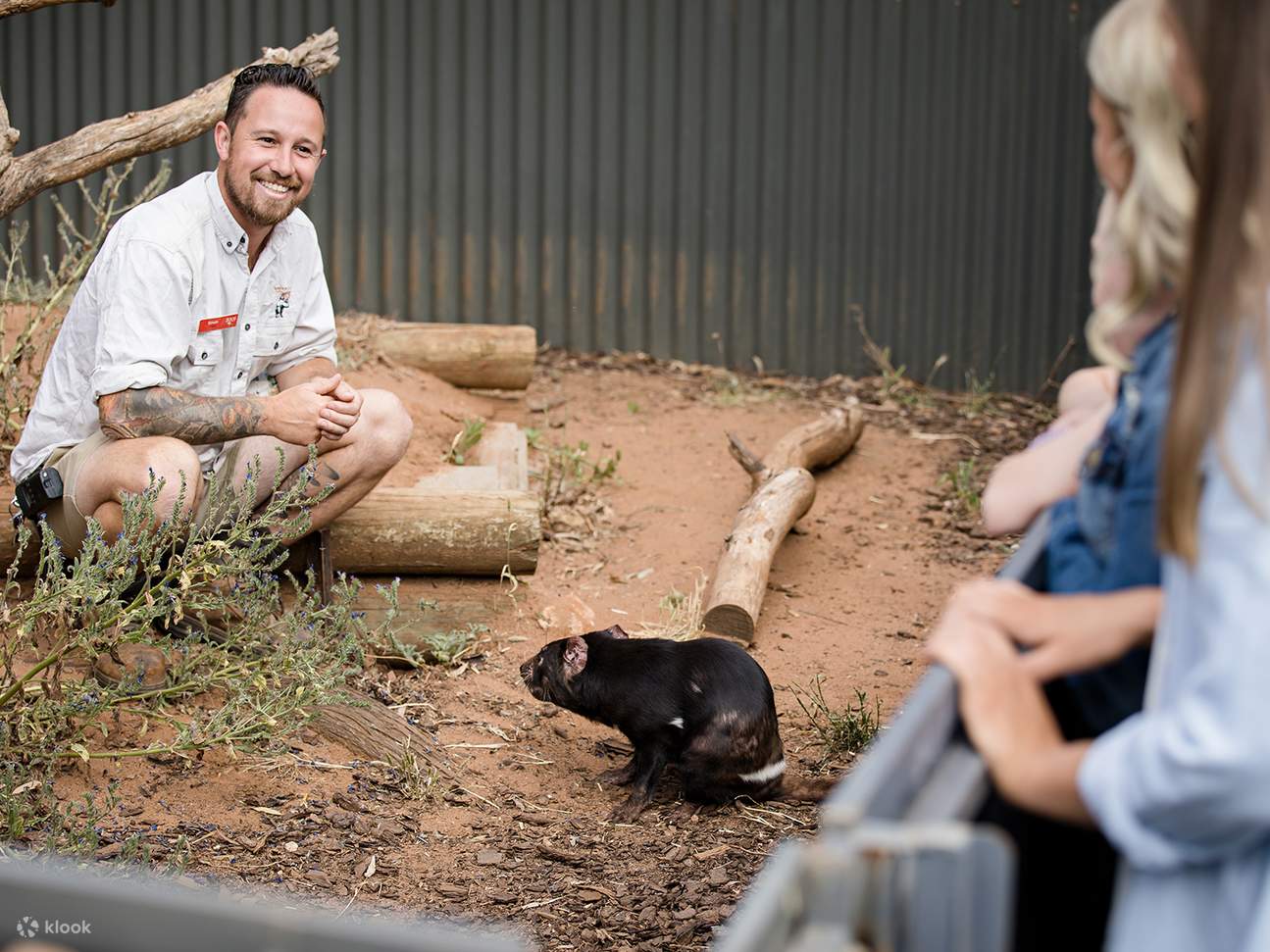 Ein teuflisch einheimisches Erlebnis im Monarto Safari Park