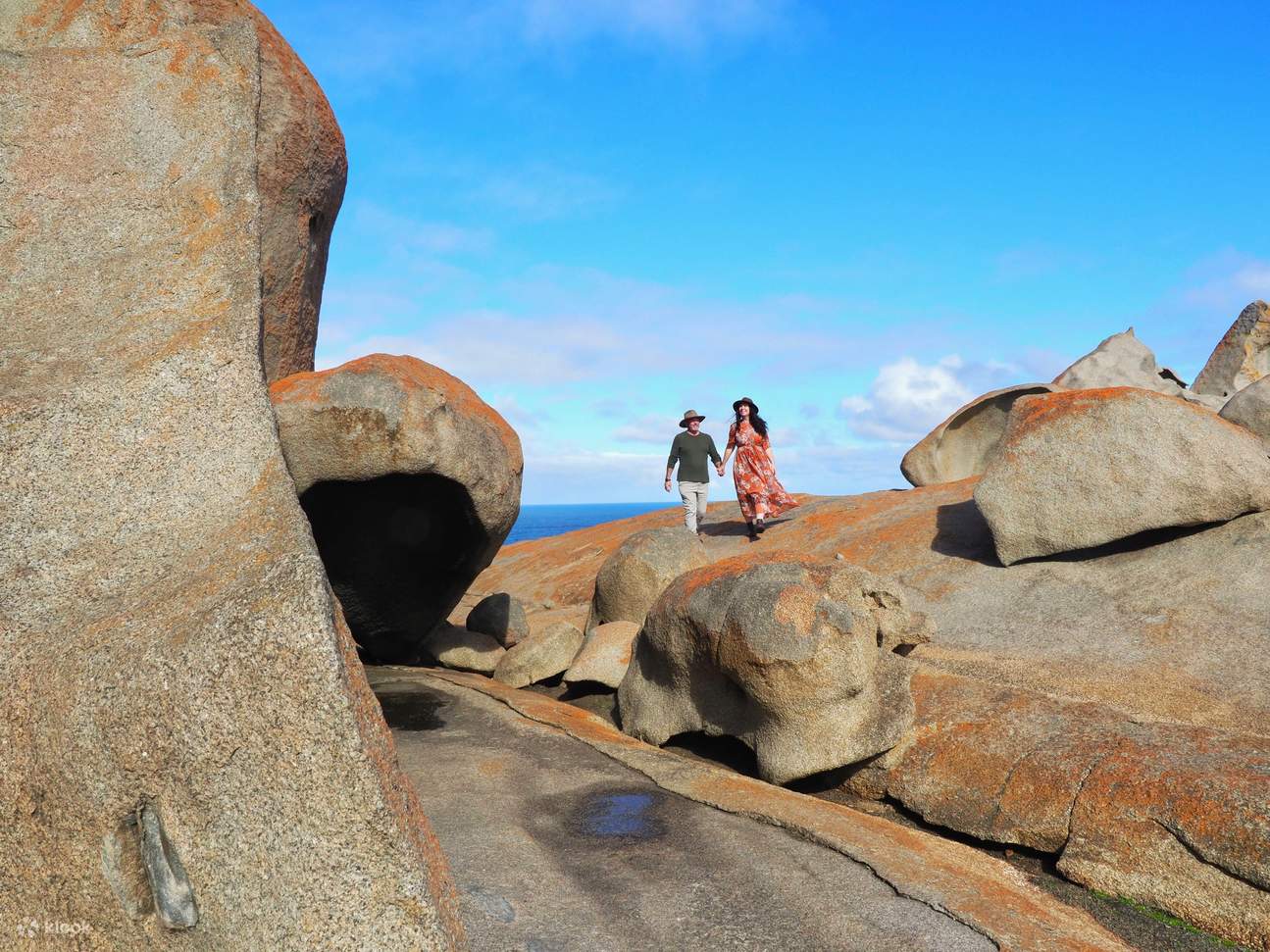 Kangaroo Island Day Tour from Adelaide Klook Australia