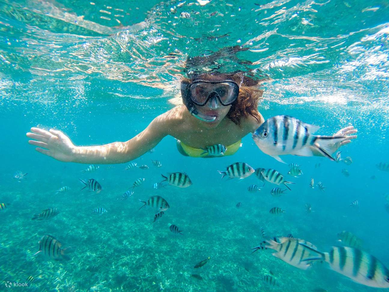 Perjalanan Laut Snorkeling ke Pulau Hamata & Qulaan dengan Makan Siang dan Transfer - Marsa Alam
