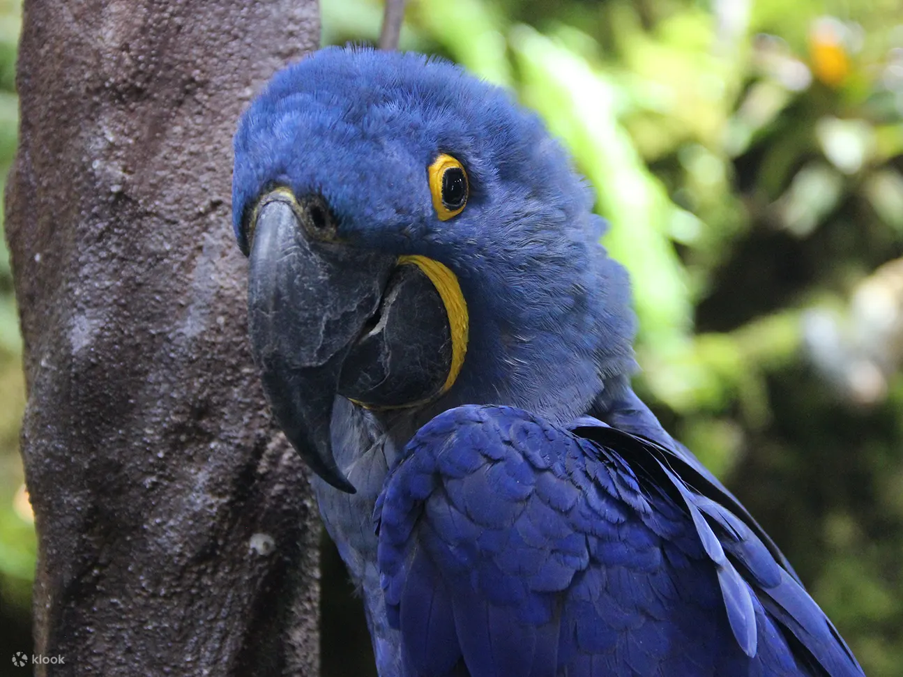 動物樂園