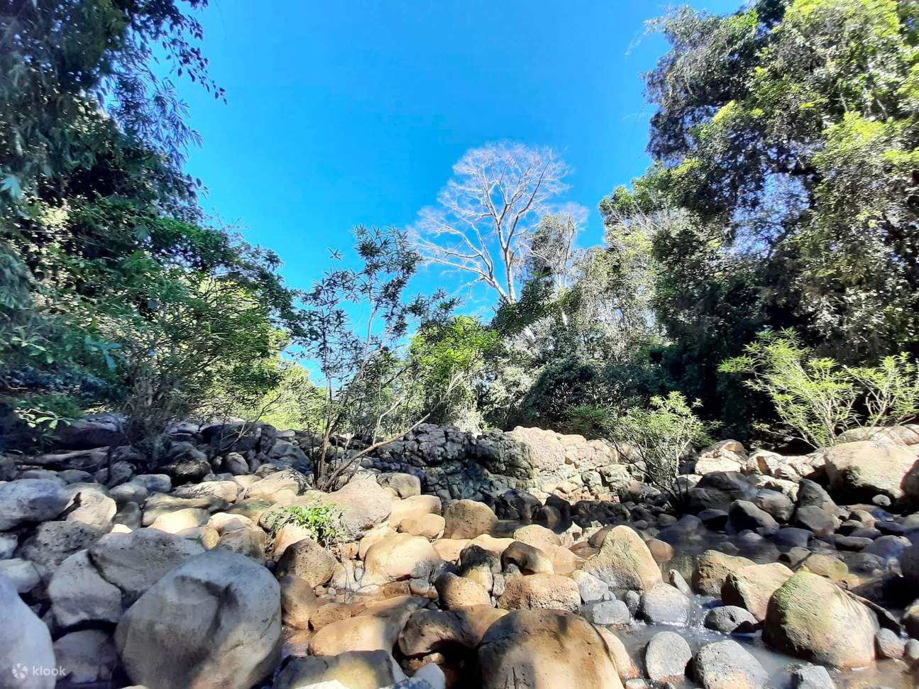 ทัวร์อุทยานแห่งชาติ Nam Cat Tien โฮจิมินห์ เวียดนาม