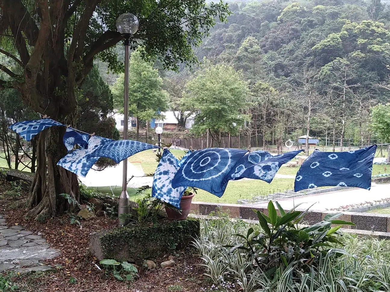 拉波波村露营