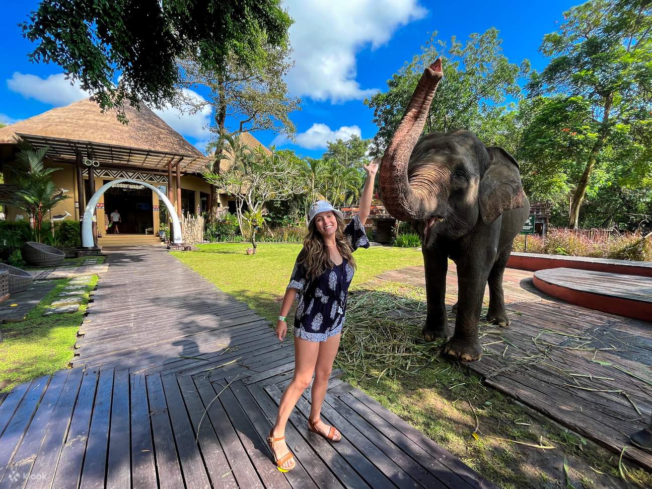 clientes en Bali Safari Marine Park con un elefante
