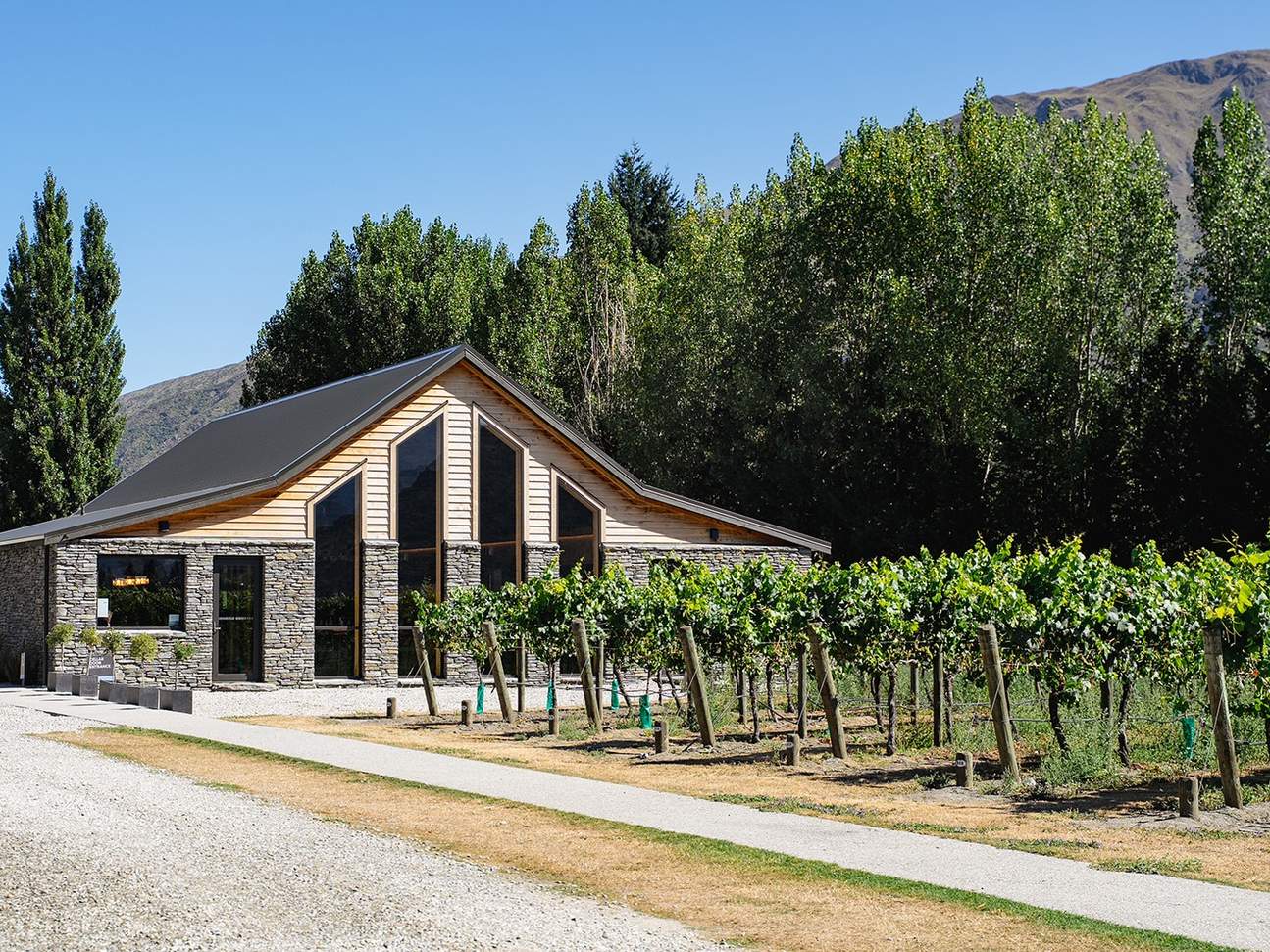 Lawatan Separuh Hari ke Ladang Wain Klasik Queenstown 