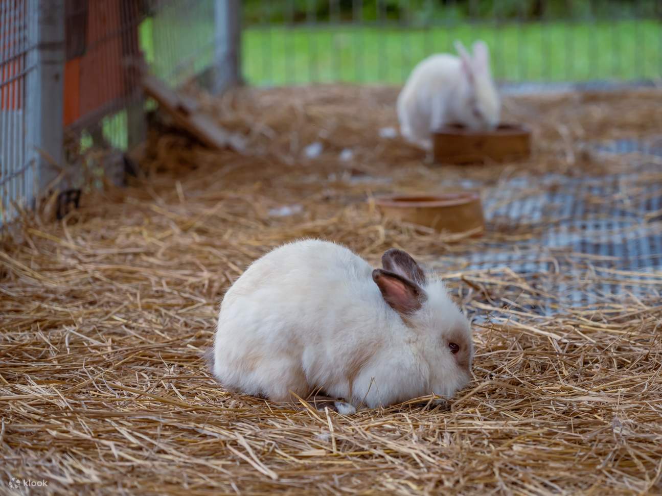 The Acre by Farm Fresh di UPM di Selangor