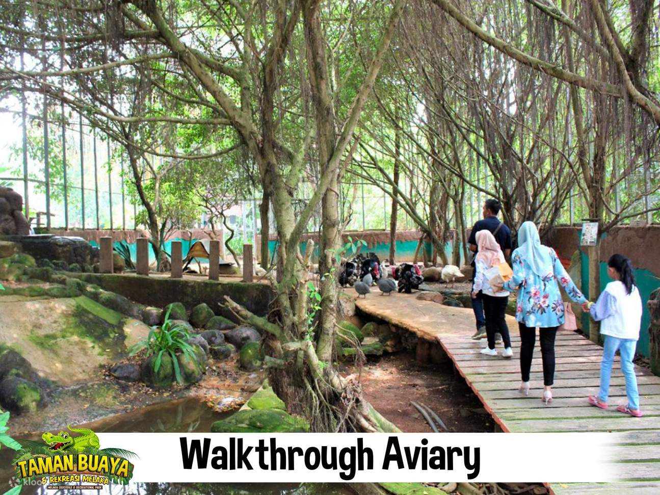 Прогулка по вольеру