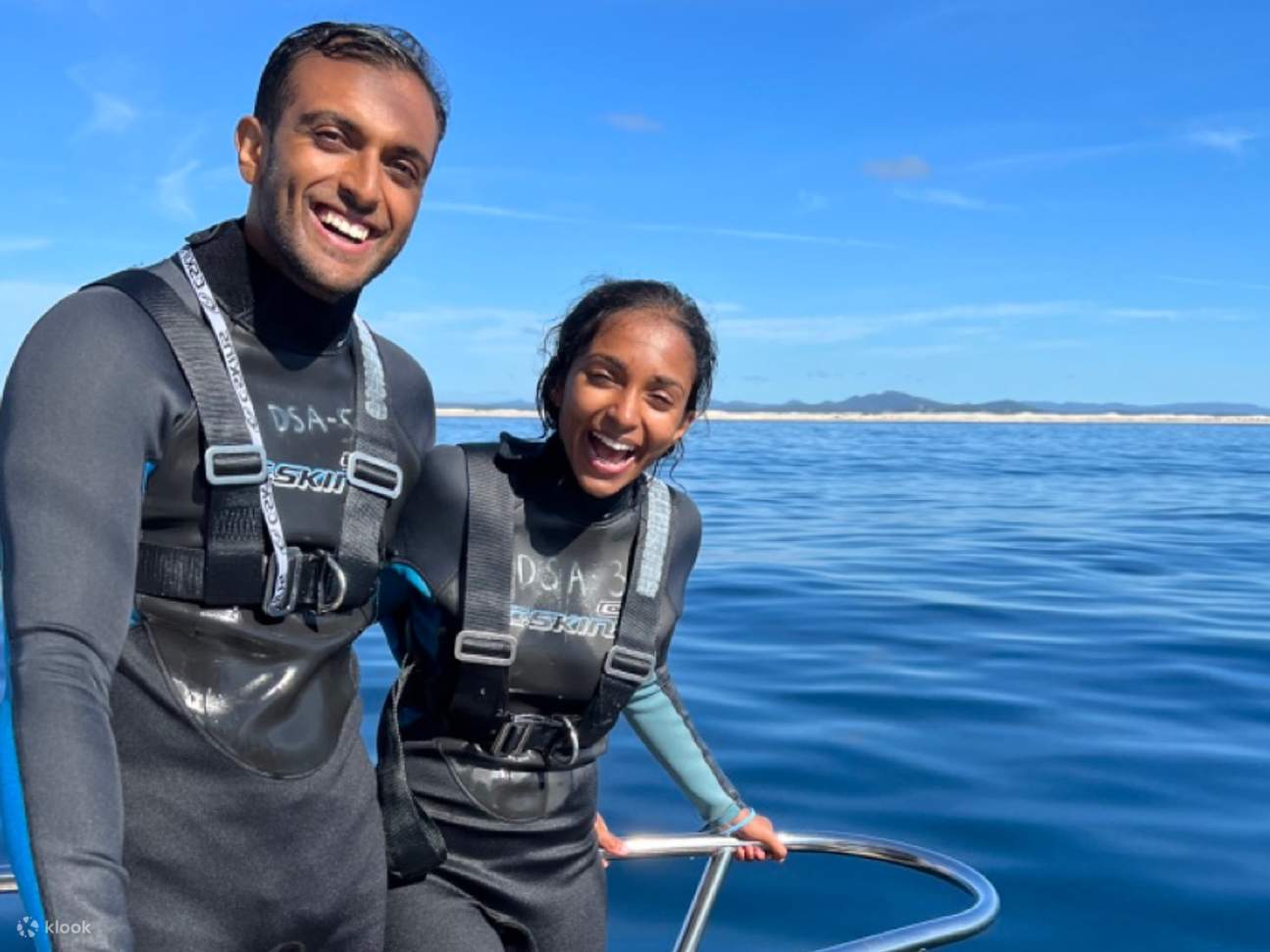 포트 스티븐스에서 야생 돌고래 관찰