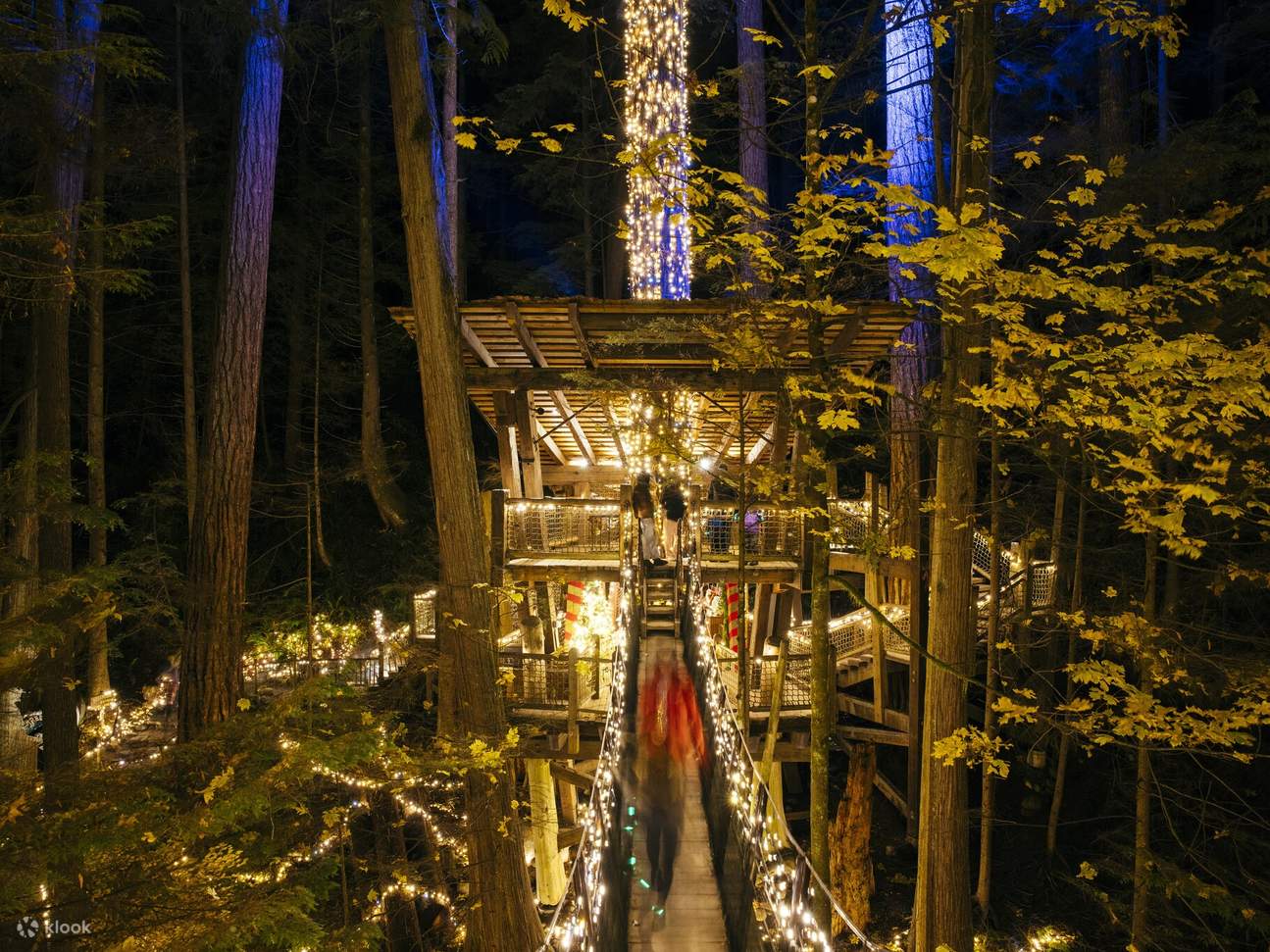 Vé Công Viên Cầu Treo Capilano ở Vancouver