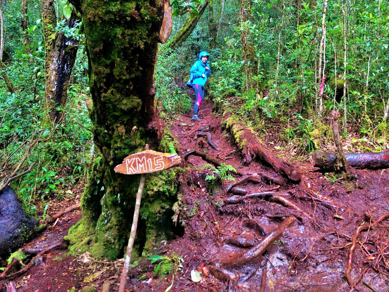 马拉朗山泥泞小径