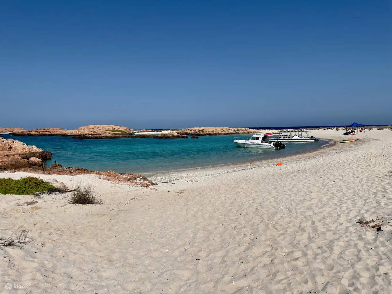 Mascate: Tour di snorkeling alle Isole Daymaniat con rinfreschi