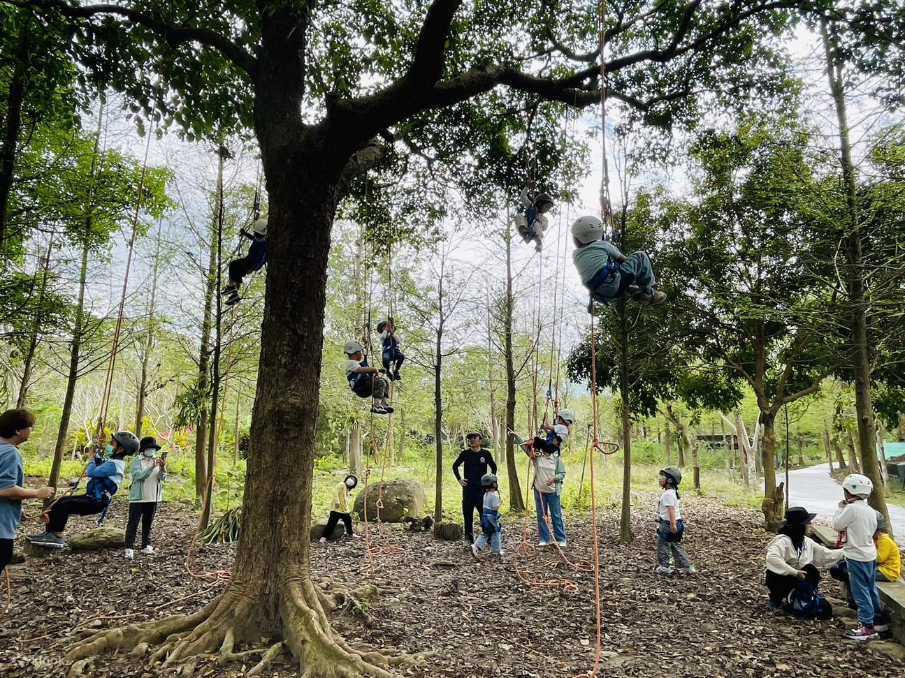 Pengalaman Meneroka Ekologi Hutan Impian & Memanjat Pokok · Lazy River - Kawasan Pemandangan Indah Nasional Siraya