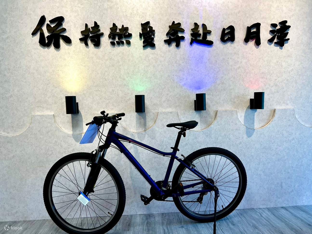 日月潭ビッグツリー電動自転車レンタル券 - Klook