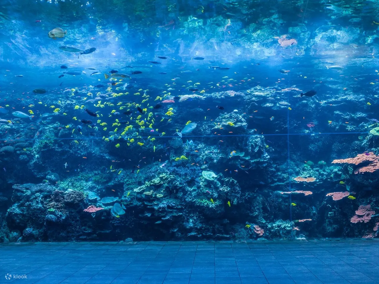 潜入深海，从各个角度探索海底世界