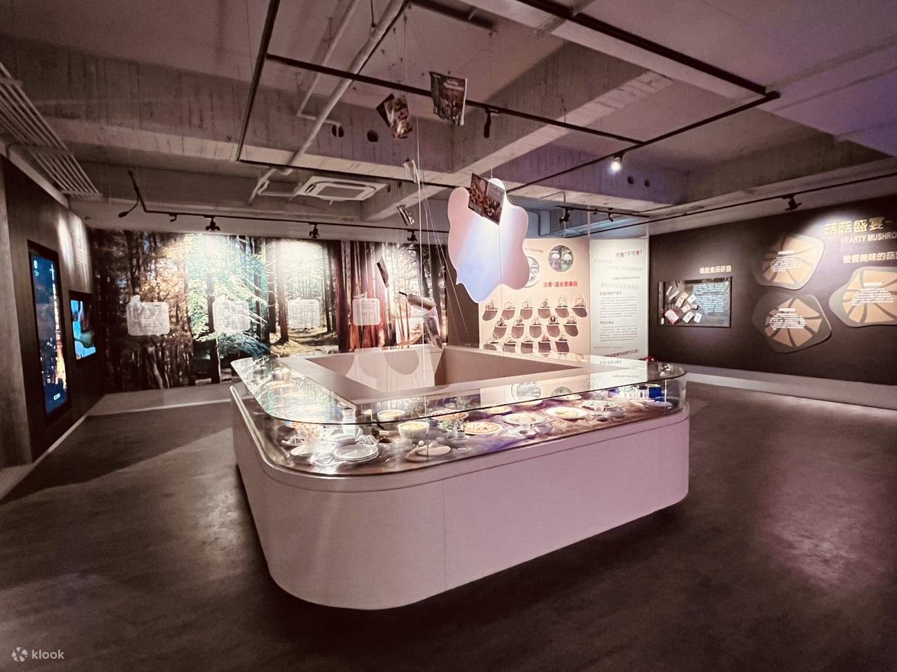 Muzium Industri dan Akademik Cendawan Wufeng