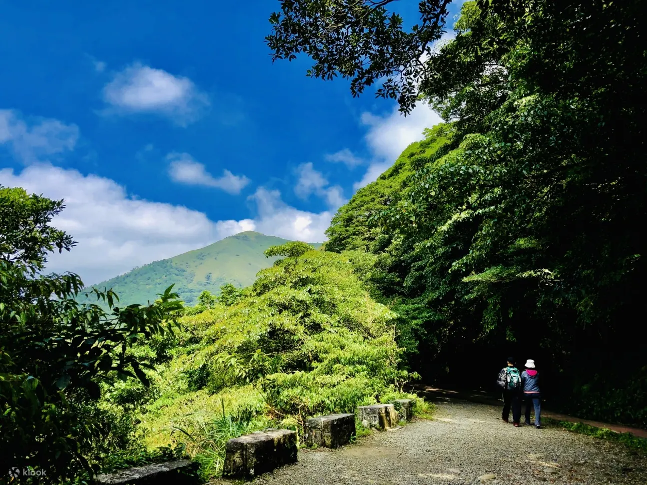 包车游览 阳明山一日游