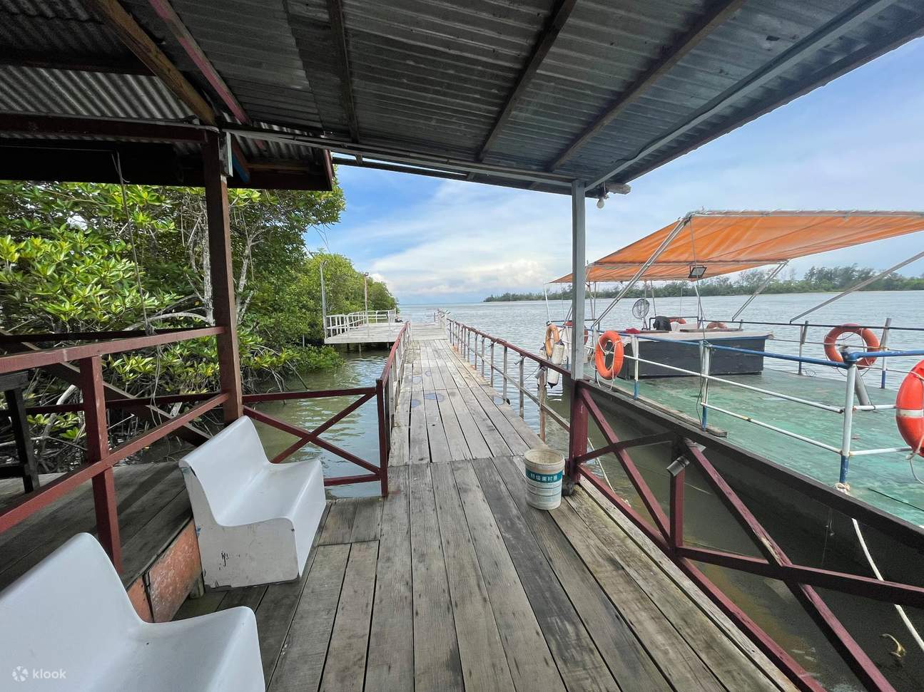 Tour guidato in kayak attraverso la mangrovia del Borneo