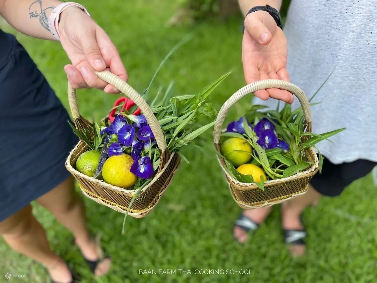 Baan Farm 泰國烹飪學校