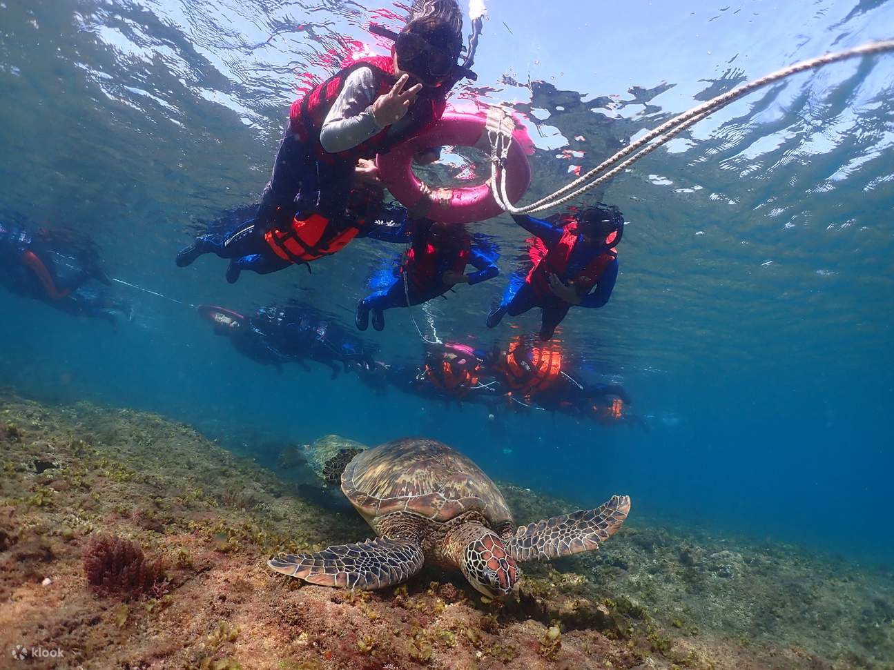 ดำน้ำตื้นที่เสี่ยวหลิวฉิว