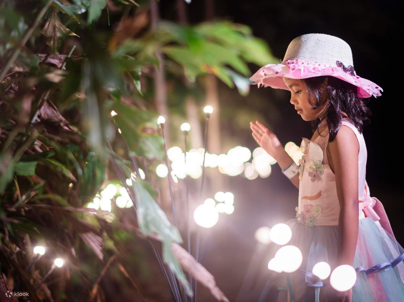 랑카위 드림 포레스트 티켓