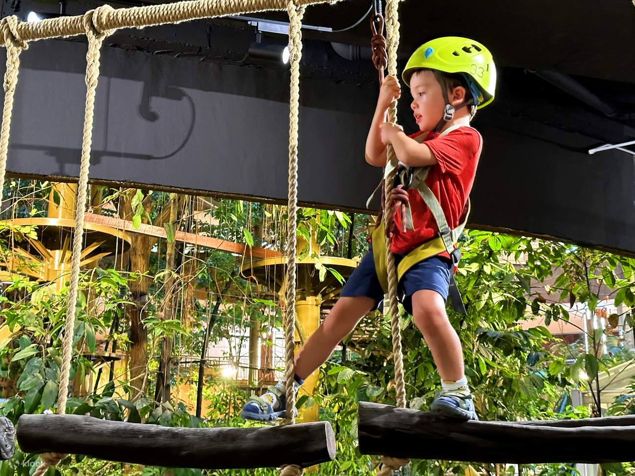 Билет в парк приключений Treetop Adventure Petaling Jata