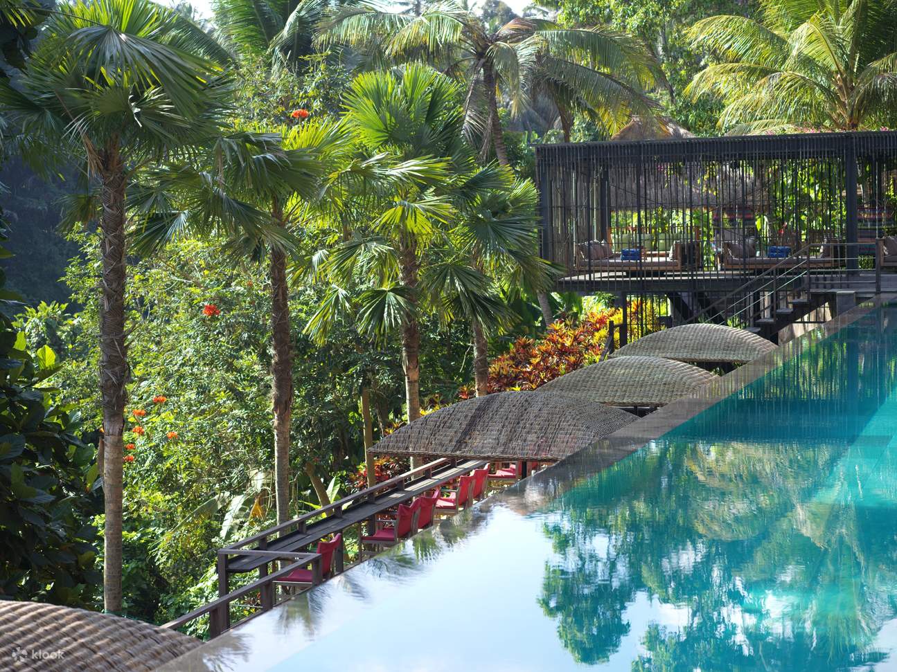 Jungle Fish Pool Bar Ubud