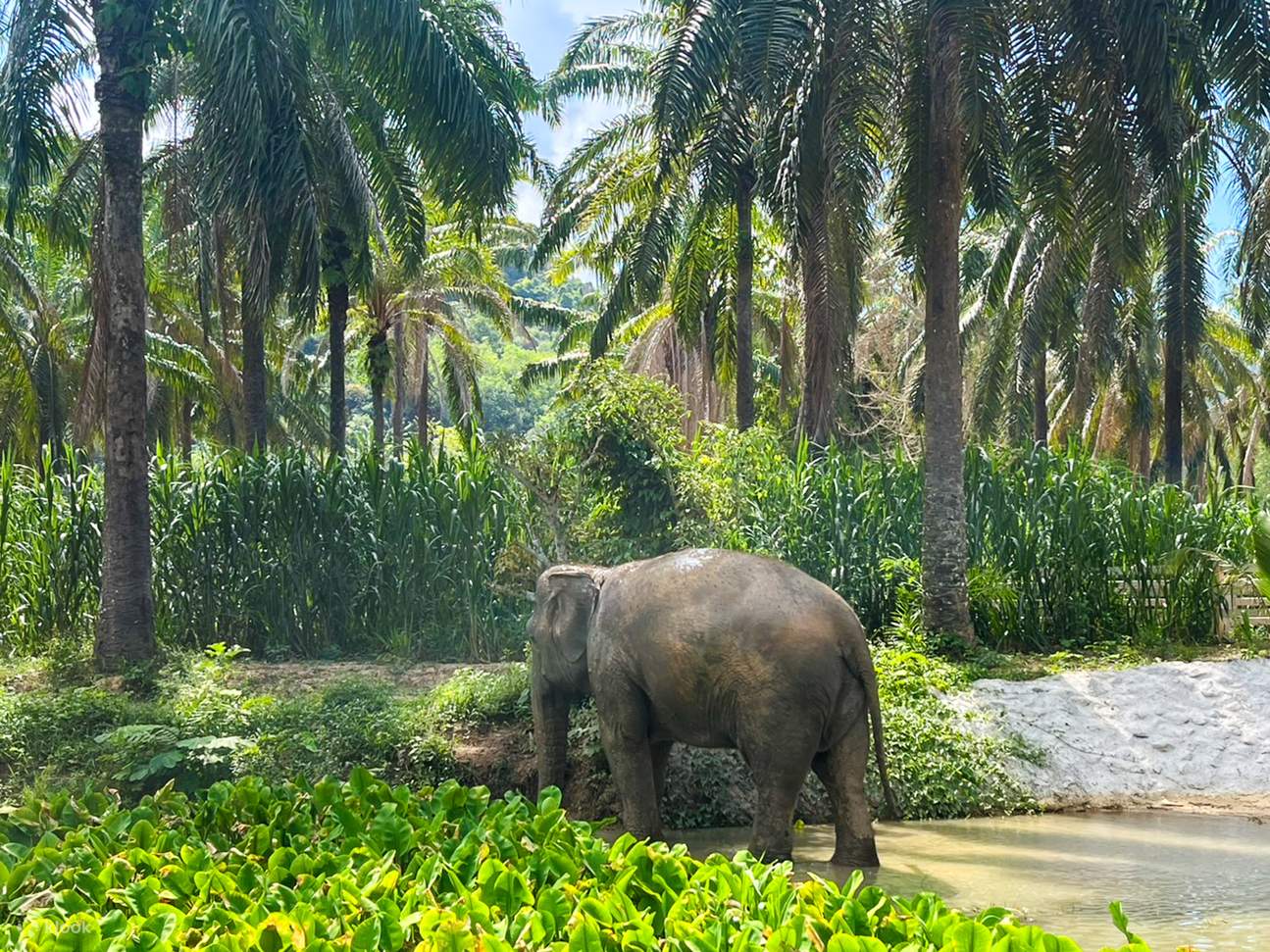 Ghi lại những khoảnh khắc