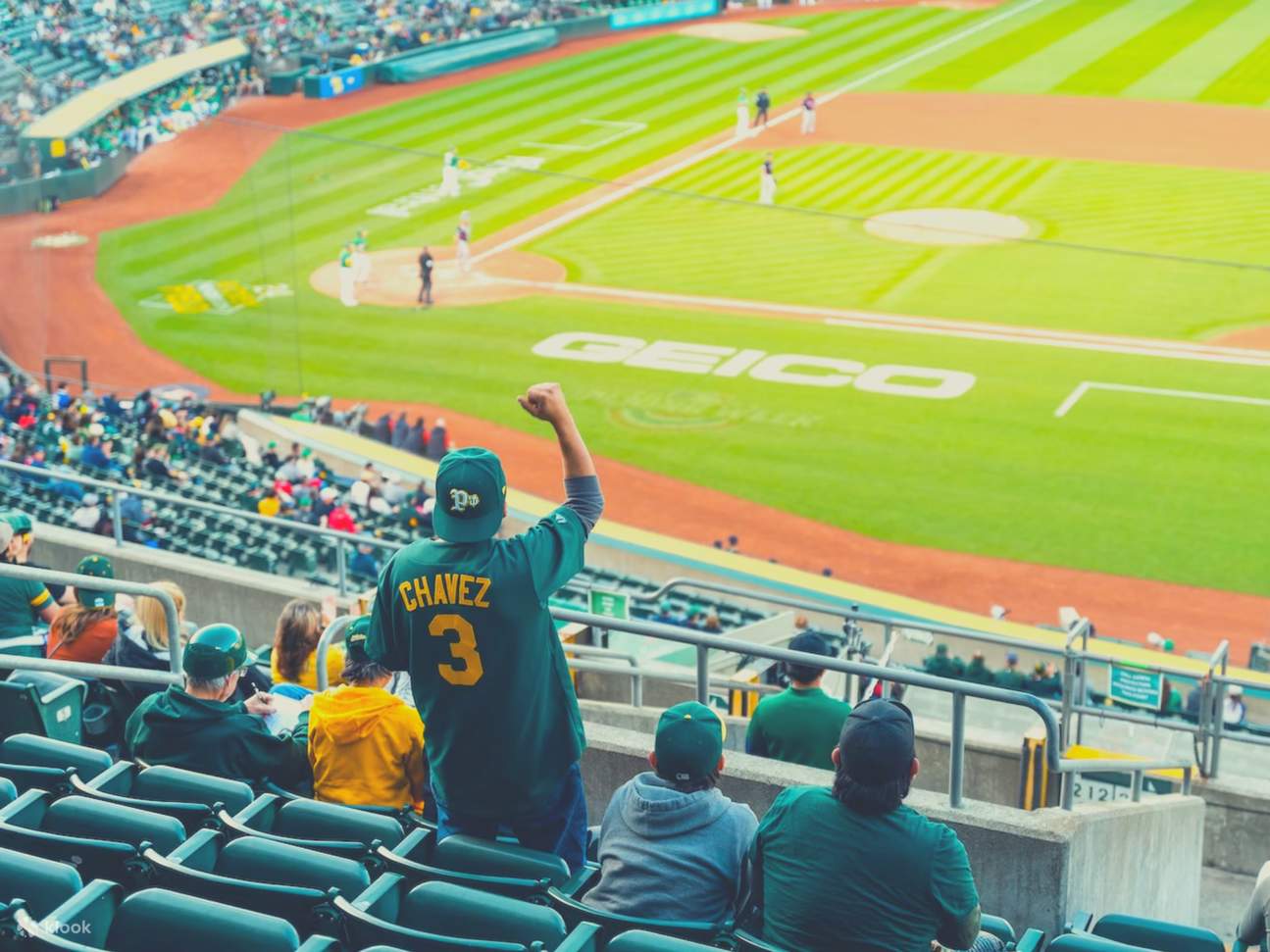 The Roots of a Baseball Obsession