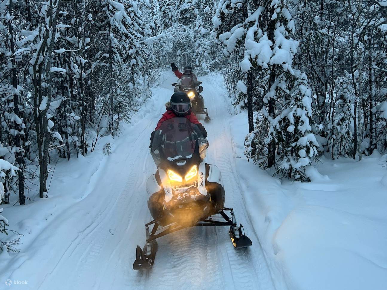 Esperienza invernale Aurora con motoslitta