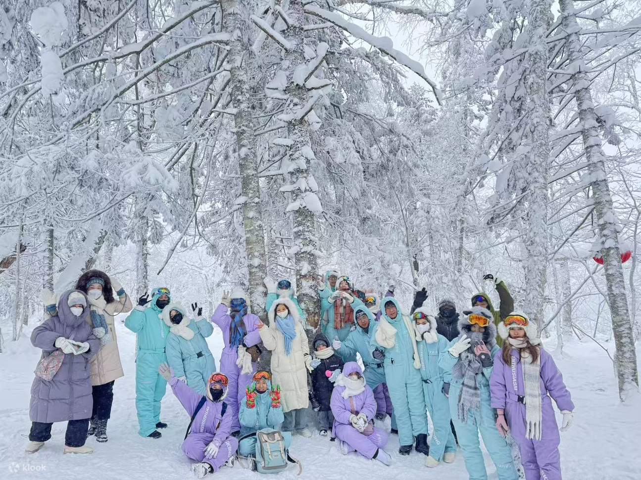 Snow Gallery Harbin Snow Town & Snow and Ice Gallery Day Trip - Klook United States