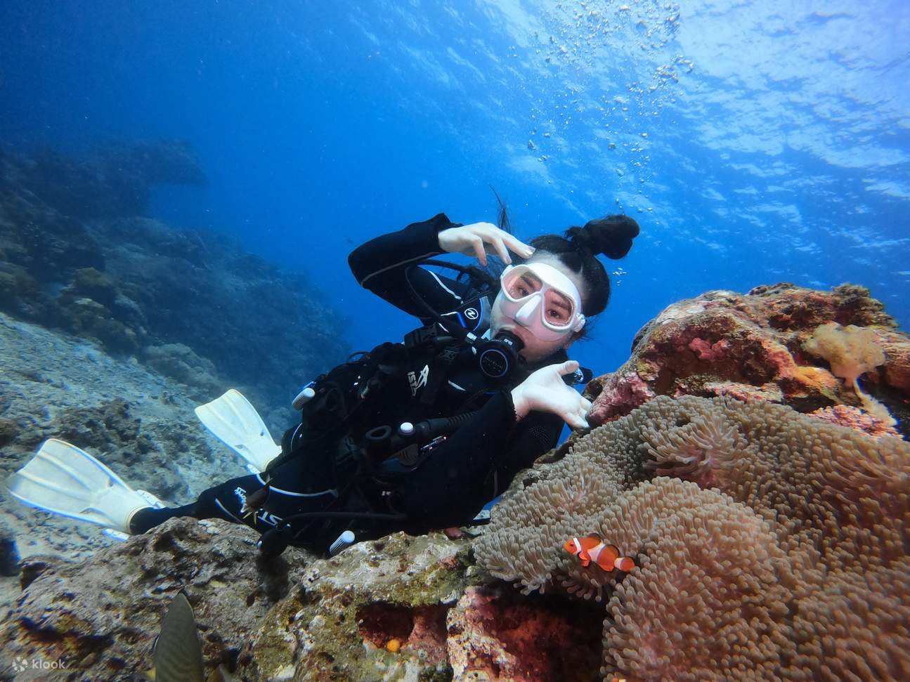 Green Island: Pengalaman Scuba Diving Decompression Chamber