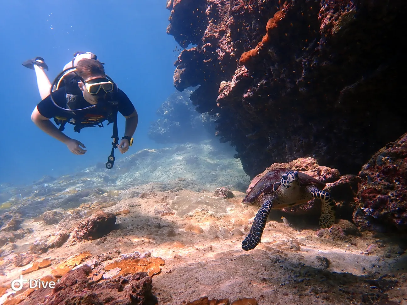 PADI 探索水肺潜水