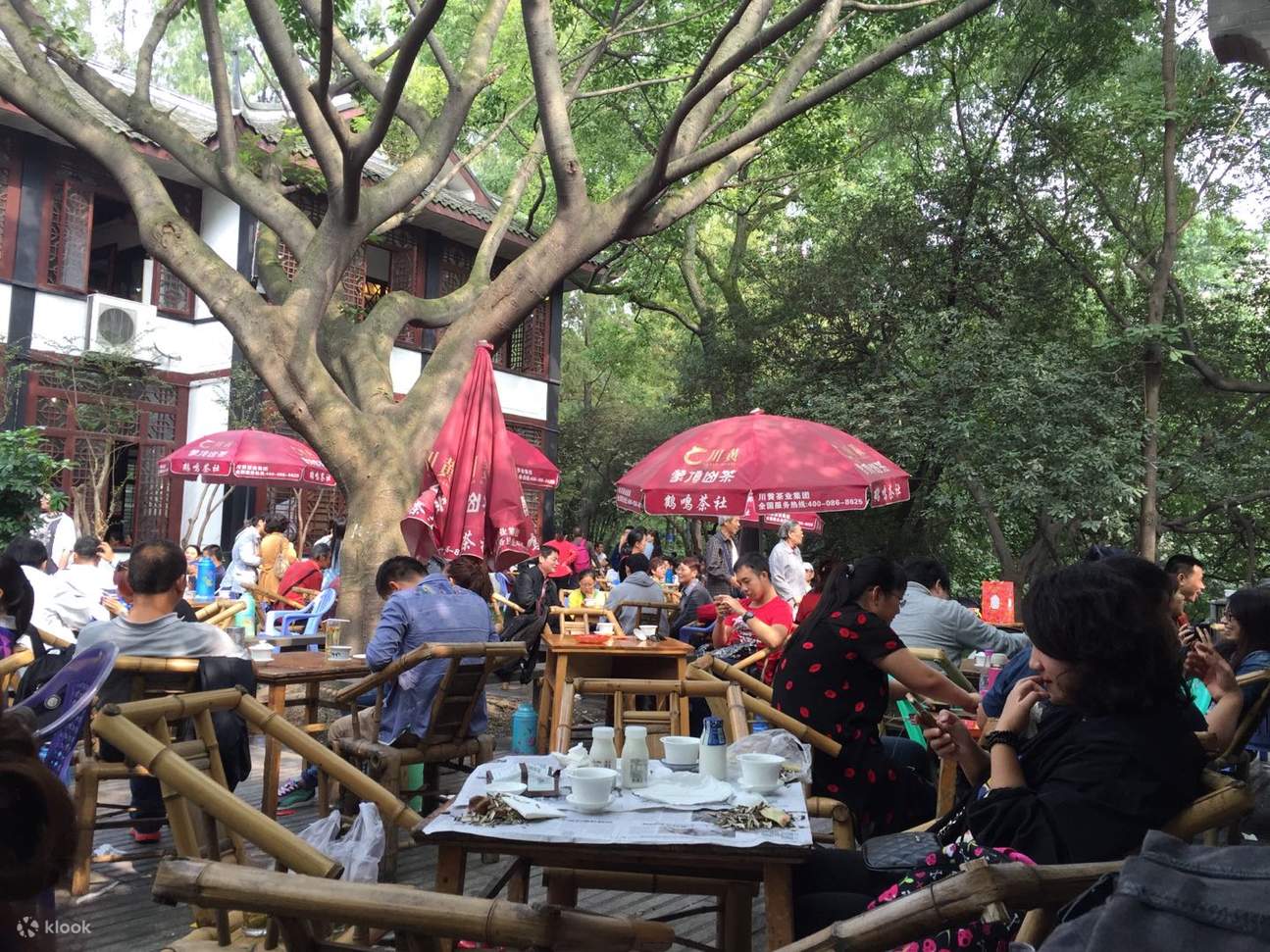 Tour Riêng Nửa Ngày Tham Quan Công Viên Nhân Dân Thành Đô - Klook