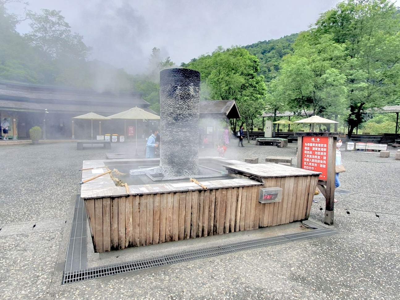 Tour de un día de avistamiento de ballenas en Yilan + geotermia de Qingshui (salida desde Taipéi)