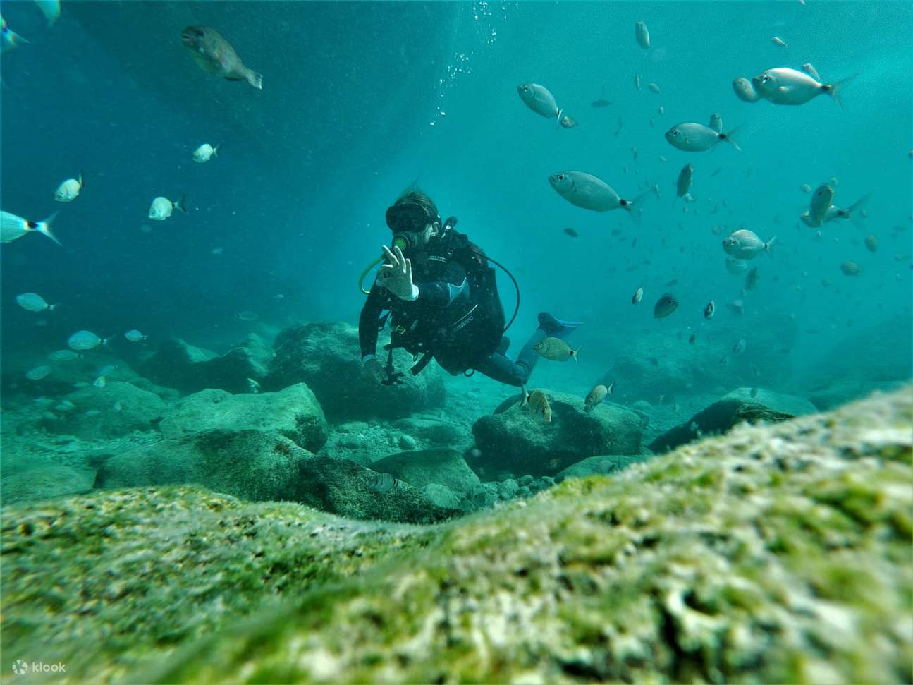 Experience the Thrill of Diving into the Depths with Scuba Diving Klook