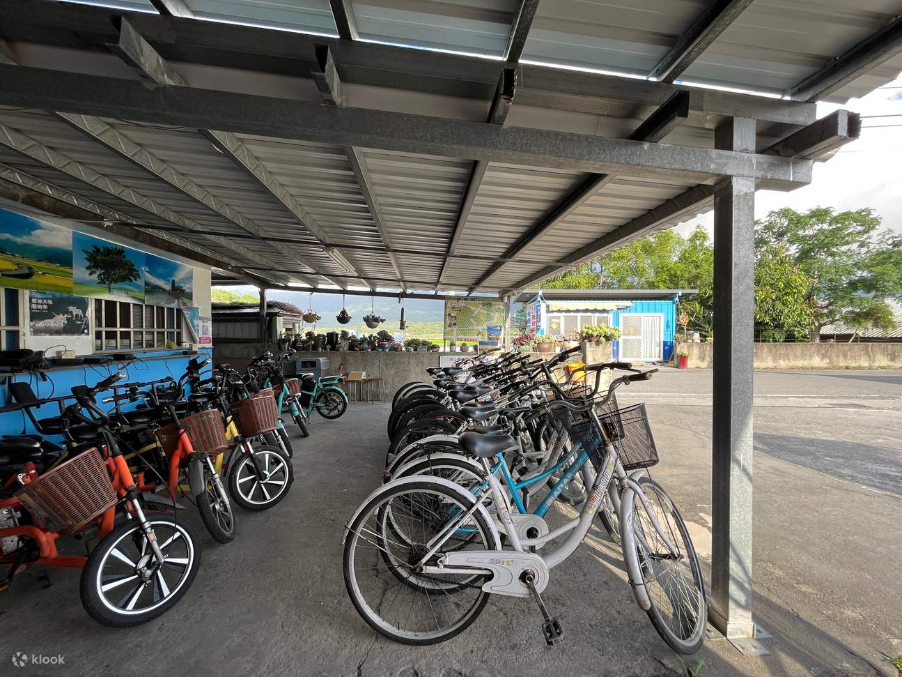 台东池上伯朗大道自行车租借可选脚踏车电动车- Klook客路
