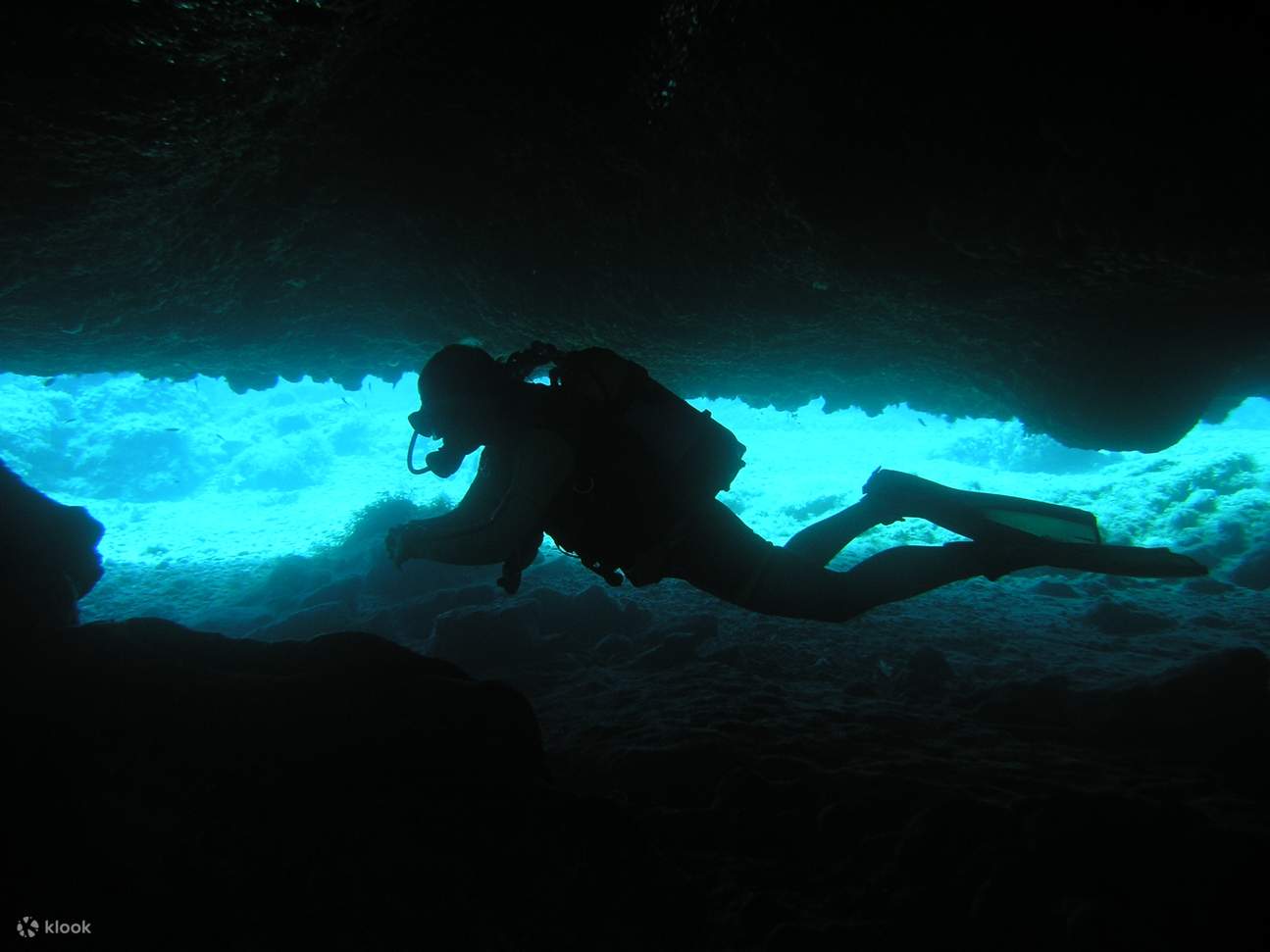 精彩的双罐全日潜水之旅