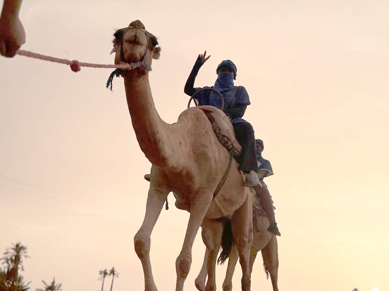 Marrakesch: Quadbike-Abenteuer in der Palmeraie mit Minztee