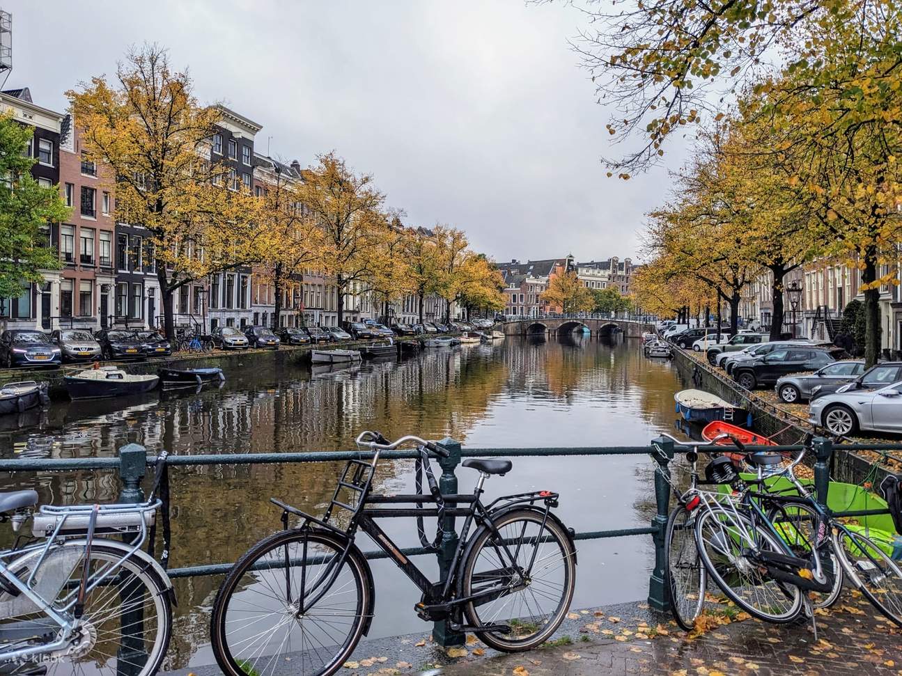 Rembrandt & Van Gogh walking tour Amsterdam - Klook India