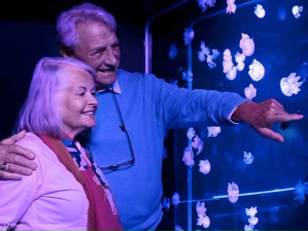 Откройте для себя завораживающее движение и историю видов медуз