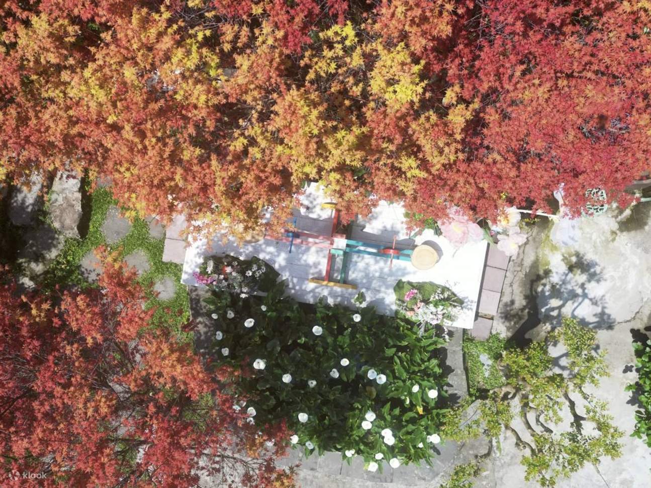 台北棚田花生態園チケット・紫陽花・春もみじの季節 | Klook