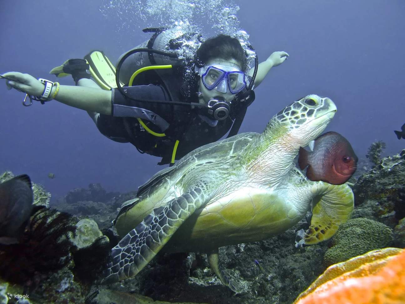 PADI Discover Scuba Diving @ Padangbai с дайв-центром PADI 5 Star