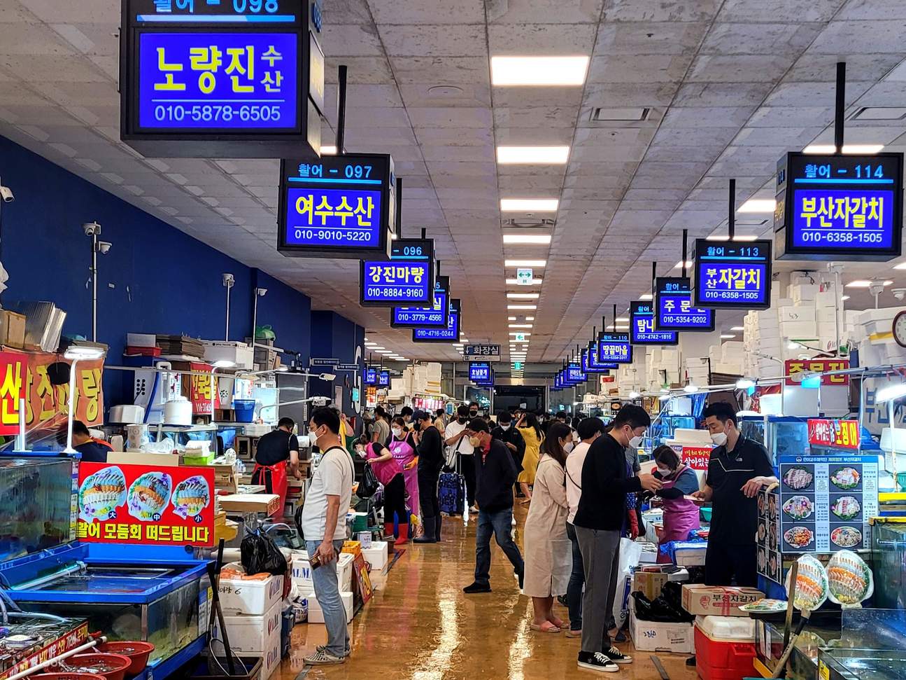 noryangjin fish market tour