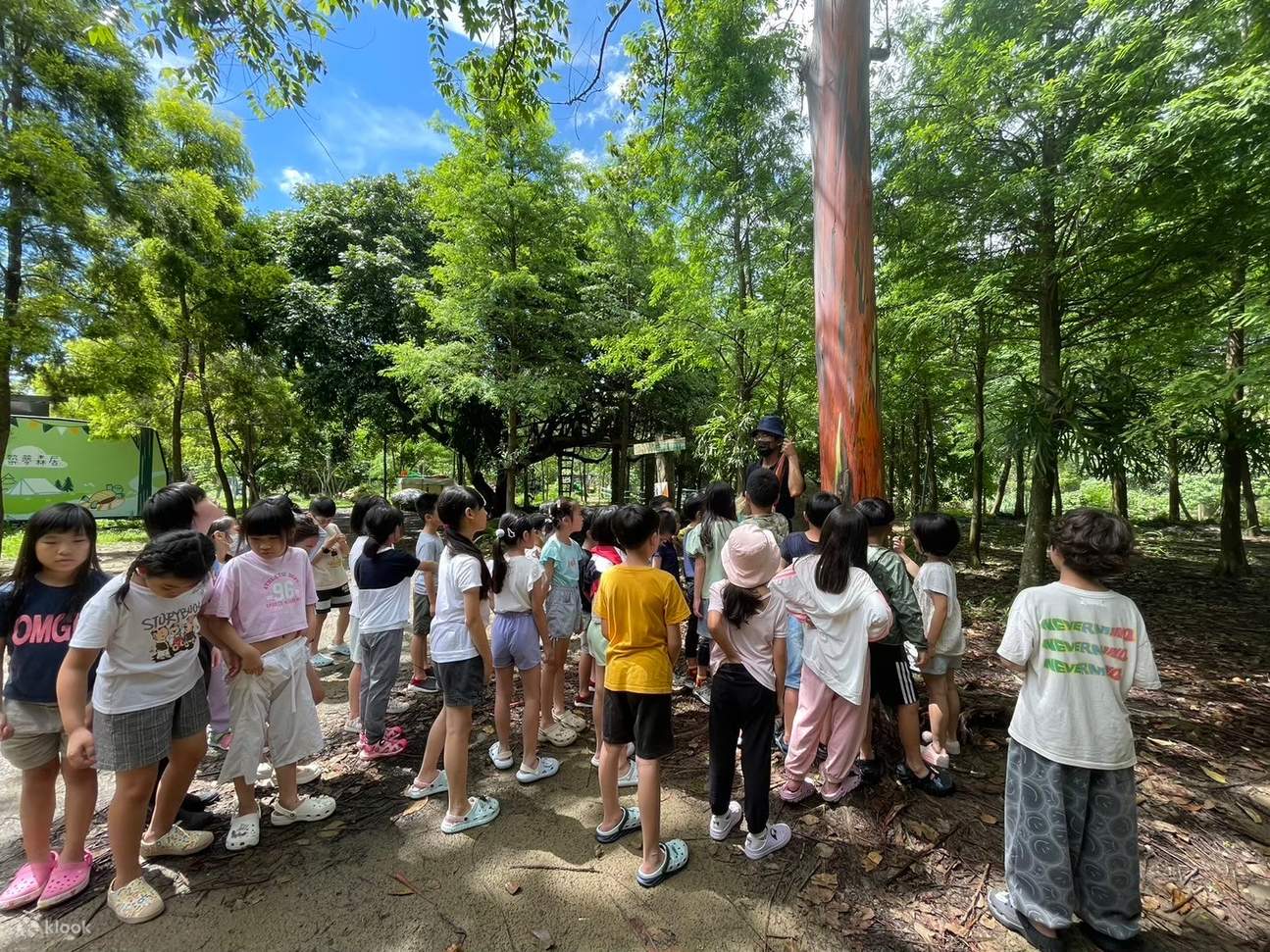Penerokaan Ekologi Hutan Impian Pembinaan & Pengalaman Memanjat Pokok · Lazy River - Siraya National Scenic Area