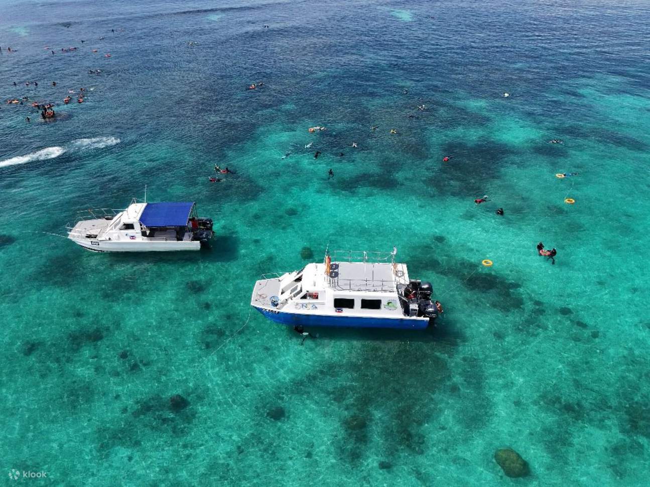 Excursión de un día de esnórquel en Sabah Magic Mengalum, Kota Kinabalu